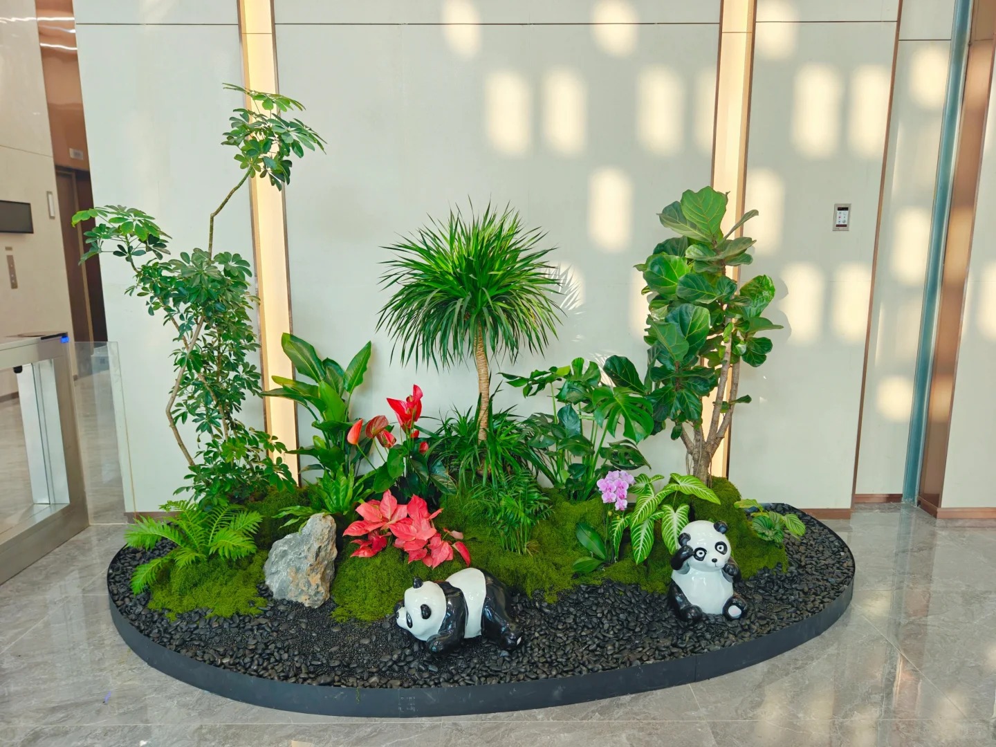 余姚植物出租，价格亲民超实惠，装点生活超划算！